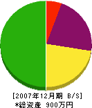 鶴畳商店 貸借対照表 2007年12月期