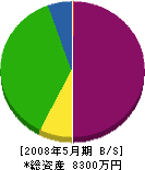 坂本建設 貸借対照表 2008年5月期