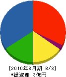 川之江土建産 貸借対照表 2010年6月期