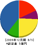 新潟道路 貸借対照表 2009年12月期