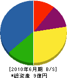 大川内建設 貸借対照表 2010年6月期