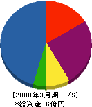 津山グリン建設工業 貸借対照表 2008年3月期