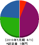 長野映研 貸借対照表 2010年5月期