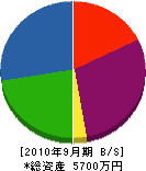 渡辺ホームガーデン 貸借対照表 2010年9月期
