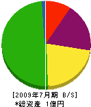 浅井建材土木 貸借対照表 2009年7月期