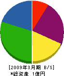 椛沢リース 貸借対照表 2009年3月期