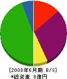 嶋田実業 貸借対照表 2008年6月期