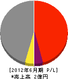 南日本設備サービス 損益計算書 2012年6月期