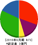 田中鑿泉重工 貸借対照表 2010年6月期