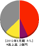 角田塗装店 損益計算書 2012年6月期