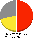 昭栄電気 損益計算書 2010年6月期