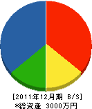 峯田電機 貸借対照表 2011年12月期
