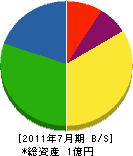 川辺工業 貸借対照表 2011年7月期