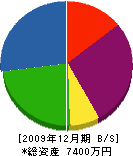 近藤緑保 貸借対照表 2009年12月期
