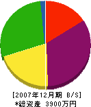 山崎塗装工業所 貸借対照表 2007年12月期