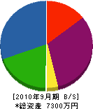 中島造園土木 貸借対照表 2010年9月期