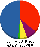 田中博建築 貸借対照表 2011年12月期