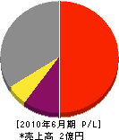 ニシオカ 損益計算書 2010年6月期