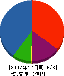 日栄ライナー 貸借対照表 2007年12月期