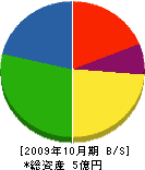 宮澤塗料 貸借対照表 2009年10月期