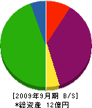 東京建鉄 貸借対照表 2009年9月期