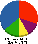 長岡新貴工業 貸借対照表 2008年5月期