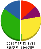 梶田造園 貸借対照表 2010年7月期