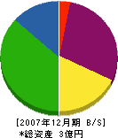 七洋リビングセンター 貸借対照表 2007年12月期