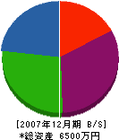 斎藤畳内装 貸借対照表 2007年12月期
