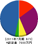 盛翔 貸借対照表 2011年7月期