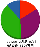 九州管通 貸借対照表 2012年12月期