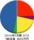 智山建設 貸借対照表 2010年5月期