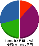 上田住設 貸借対照表 2008年5月期