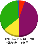 竹村組 貸借対照表 2008年11月期