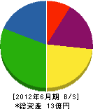 新潟ガービッヂ 貸借対照表 2012年6月期