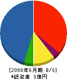 川島建設 貸借対照表 2008年6月期