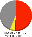 薮内工務店 損益計算書 2009年3月期