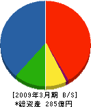 片山ストラテック 貸借対照表 2009年3月期
