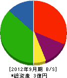 山富士産業 貸借対照表 2012年9月期