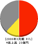 興亜開発 損益計算書 2008年3月期