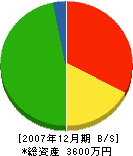 岩橋塗装工業 貸借対照表 2007年12月期