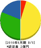 阿久津電機 貸借対照表 2010年6月期