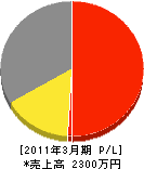 斉藤美創 損益計算書 2011年3月期