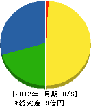 堂坂ジェットクリーナー工業 貸借対照表 2012年6月期
