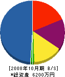 ベストハウス永野 貸借対照表 2008年10月期