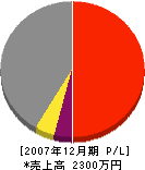 藤村組 損益計算書 2007年12月期