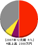 樫一塗装工業 損益計算書 2007年12月期 樫一塗装工業 損益計算書 2007年12月期