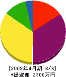 松本建設 貸借対照表 2008年4月期