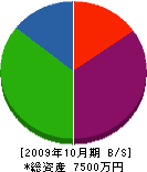 ヘキムラ興産 貸借対照表 2009年10月期