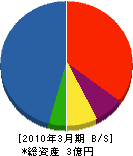若嶋組 貸借対照表 2010年3月期